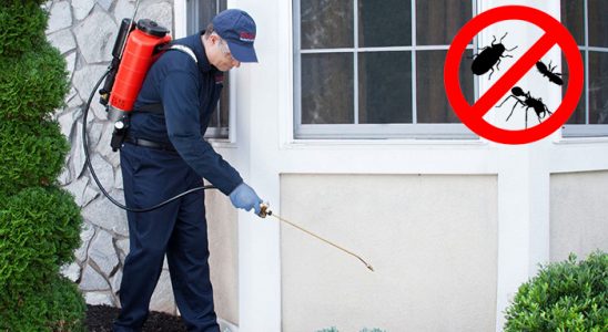 Emirdağ Bit İlaçlama böcek ilaçlama ve haşere kontrolü — ilaclama-tr.com